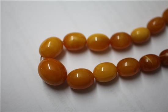 A single strand graduated amber bead necklace, 8.25in.